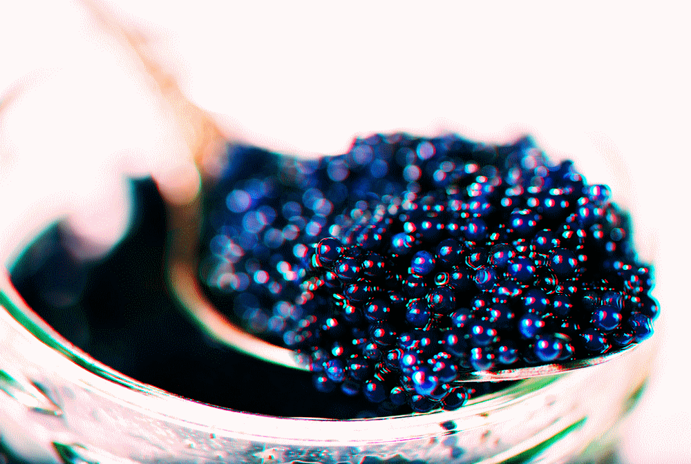 caviar