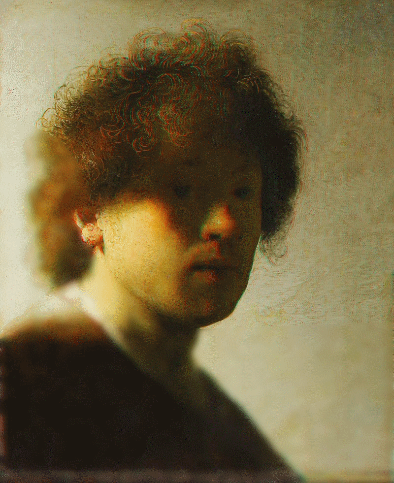 rembrandt_harmenzs__rijn_van_3d_peinture_painting_exhibition_sweden_king_queen_silvia_rijks_amsterdam_museum_musée_havicksz