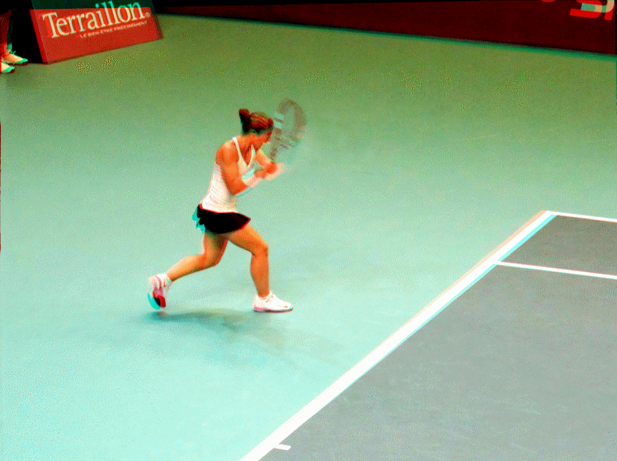 sara_errani_3d