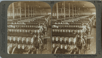 stereoscopy, stéréoscopie, 3d, relief, anaglyph, anaglyphe, photo, photographie, photography, holography, civil, war, glass, plate, plaque, verre, inconographie, iconography, foto, stereo, roosevelt, moulin, rouge, france, japan