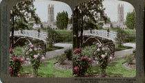 stereoscopy, stéréoscopie, 3d, relief, anaglyph, anaglyphe, photo, photographie, photography, holography, civil, war, glass, plate, plaque, verre, inconographie, iconography, foto, stereo, roosevelt, moulin, rouge, france, japan